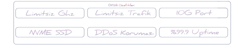 First-bilisim-4.png